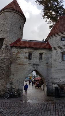 Tallinn city gates
JPG 2268 x 4032  Pixels (9.14 MPixels) (9:16)
Keywords: estonia;tallinn;street market