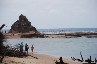 Families on Hungry Head beach
JPG 3872 x 2592  Pixels (10.04 MPixels) (1.49)
Keywords: Urunga