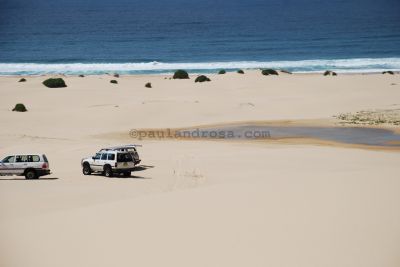 Stockton Beach sand dunes
JPG 3872 x 2592  Pixels (10.04 MPixels) (1.49)
Keywords: Port Stephens