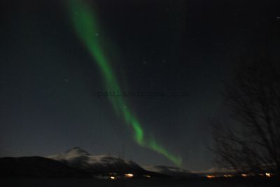 Aurora borealis
JPG 3872 x 2592  Pixels (10.04 MPixels) (1.49)
Keywords: Norway;Northern Lights