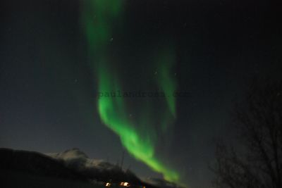 Aurora borealis
JPG 3872 x 2592  Pixels (10.04 MPixels) (1.49)
Keywords: Norway;Northern Lights