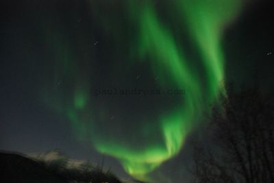 Aurora borealis
JPG 3872 x 2592  Pixels (10.04 MPixels) (1.49)
Keywords: Norway;Northern Lights