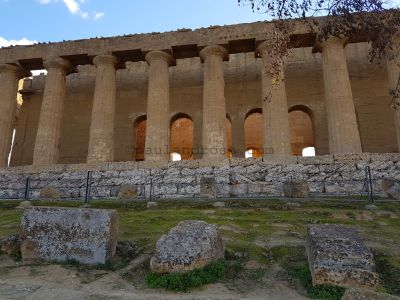 Temple of Concordia columns.
JPG 4032 x 3024  Pixels (12.19 MPixels) (4:3)
Keywords: Sicily