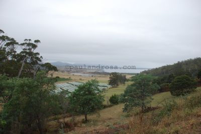 Tasmanian east coast farm
JPG 3872 x 2592  Pixels (10.04 MPixels) (1.49)

